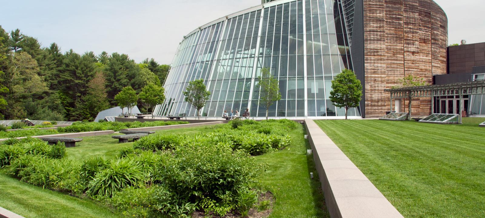 Large green roof with lawn, shrubs and walkways